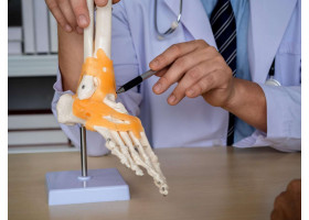 Здоровье костей и суставов: как сохранить их крепкими