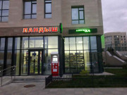 Ландыш