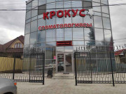 Крокус