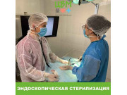 Центр ветеринарной медицины