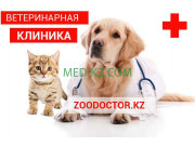 Ветеринарная аптека Зоодоктор - на med-kz.com в категории Ветеринарная аптека