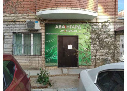 Авангард