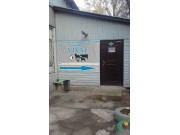 Vivat