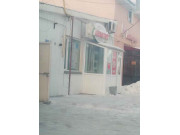 Айболит