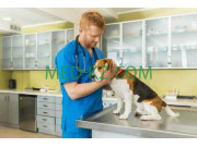 Ветеринарная аптека ТОО Alternative Marketing Solutions - на med-kz.com в категории Ветеринарная аптека