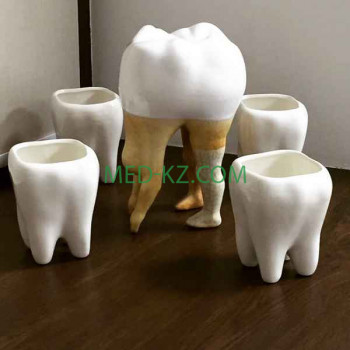 Стоматологическая клиника Kristall-Dent - на med-kz.com в категории Стоматологическая клиника
